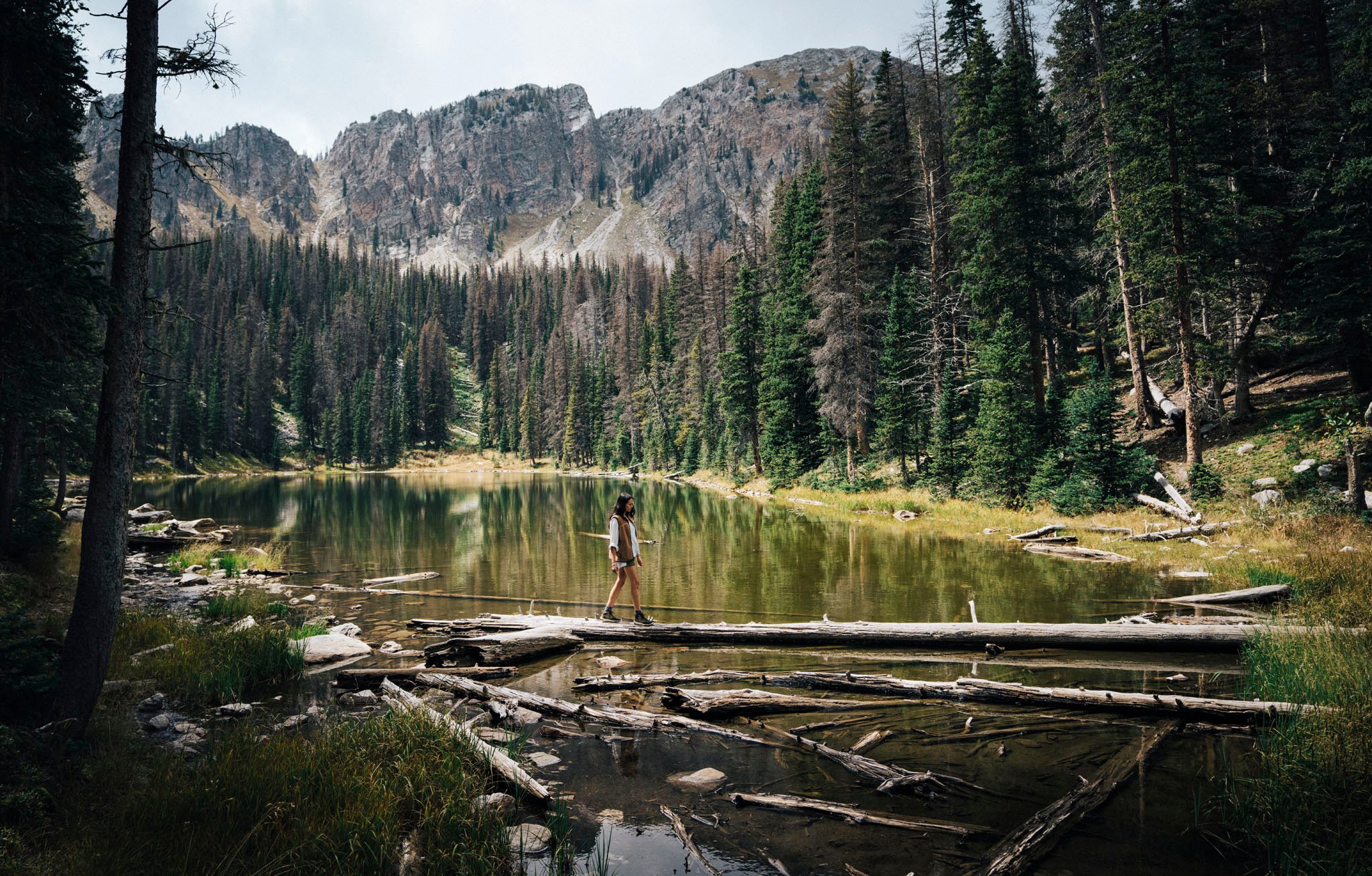 Practice Opportunity: New Mexico